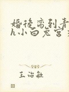 婚后脔到青梅哭h小白兔宫交h