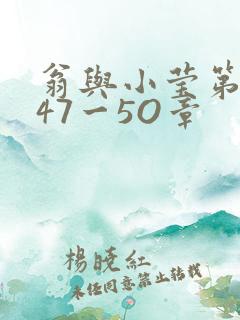 翁与小莹第十部47一5O章
