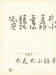 低头看着我是怎么玩你的小说