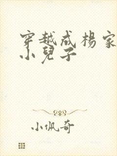 穿越成杨家将最小儿子