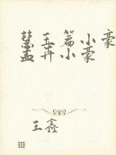 慧玉篇小豪续上孟卉小豪