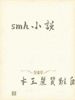smh小说