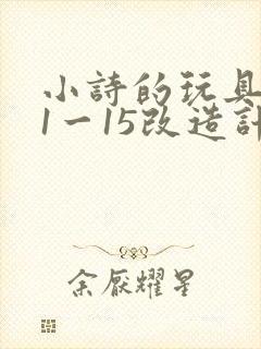 小诗的玩具日记1一15改造计划