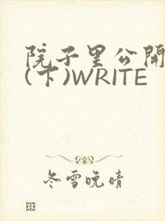 院子里公开惩戒(下)WRITE