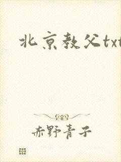 北京教父txt