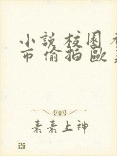 小说 校园 都市 偷拍 欧美