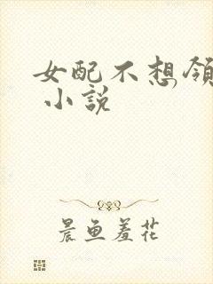 女配不想领便当 小说