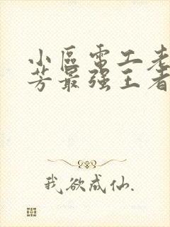 小区电工老周刘芳最强王者