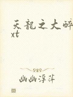 天龙之大醉侠txt