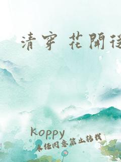 清穿 花开从容