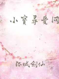 小宝寻爱网址