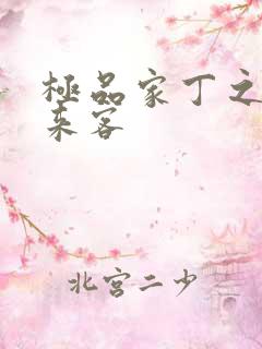 极品家丁之远方来客