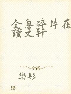 全息碎片在线阅读文轩