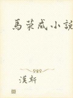 马荣成小说