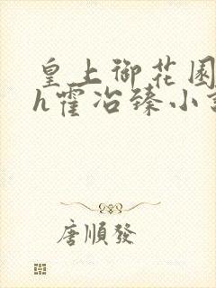 皇上御花园hlh霍冶臻小说