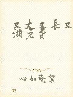 又大又长又租高湖免费