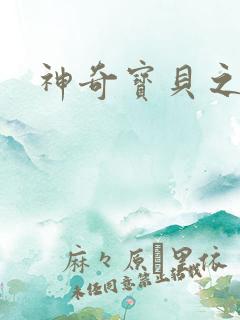 神奇宝贝之小洛