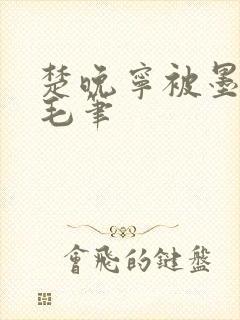 楚晚宁被墨燃塞毛笔