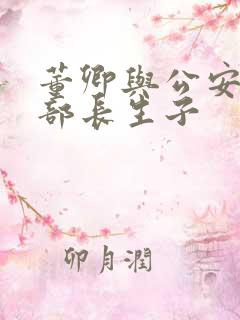 董卿与公安部副部长生子