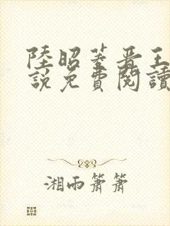 陆昭菱晋王的小说免费阅读