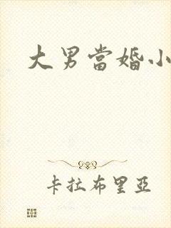 大男当婚小说