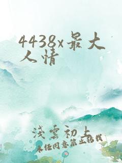 4438x最大人情