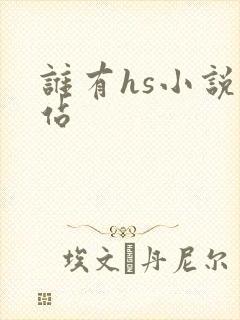 谁有hs小说网站