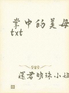 掌中的美母版主txt
