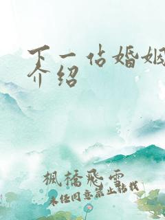 下一站婚姻剧情介绍