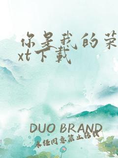 你是我的荣耀txt下载