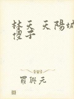 林天 天阳城 傻子