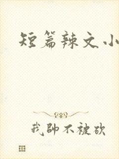 短篇辣文小说
