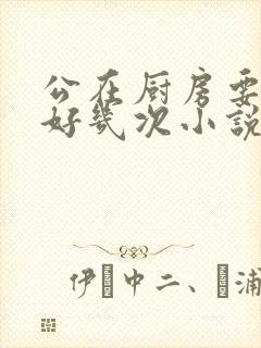 公在厨房要了我好几次小说