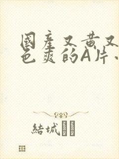 国产又黄又大又色爽的A片小说