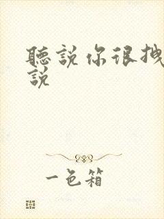 听说你很拽啊小说