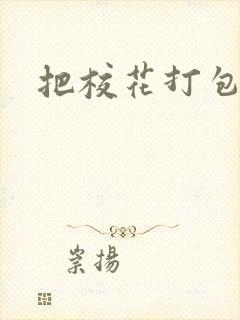 把校花打包带走