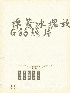 棉签冰块放入PG的照片