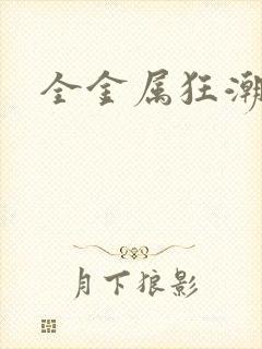 全金属狂潮小说