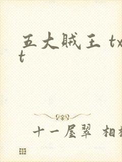 五大贼王 txt