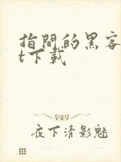 指间的黑客txt下载