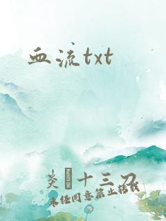 血流txt