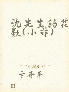 沈先生的花式调数(小非)