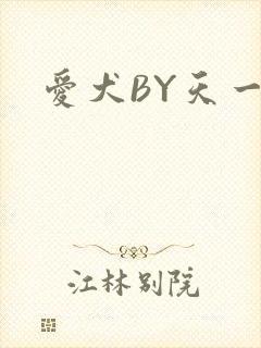 爱犬BY天一