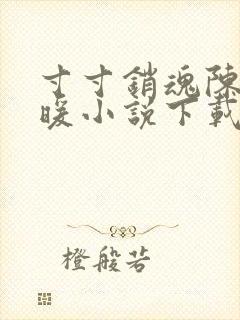 寸寸销魂陈聪王暖小说下载