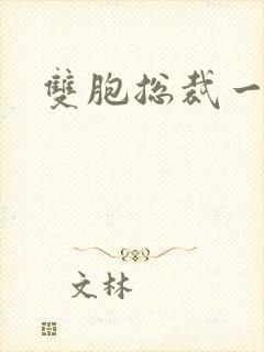 双胞总裁一个妻