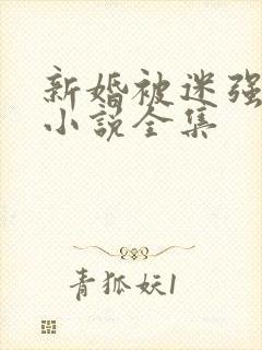 新婚被迷强系列小说全集
