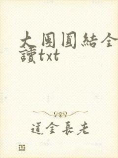 大团圆结全文阅读txt