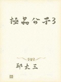 极品公子3