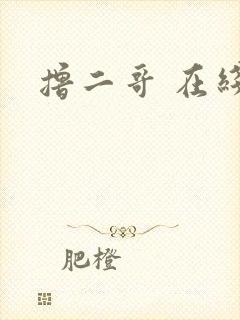 撸二哥 在线