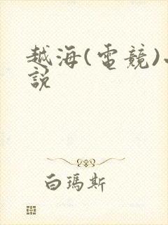 越海(电竞)小说